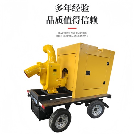 泵类产品批量供应与渠道服务（型号BS-09）