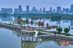 安徽巢湖岸边颜值焕新 咖啡香盘活湖畔经 